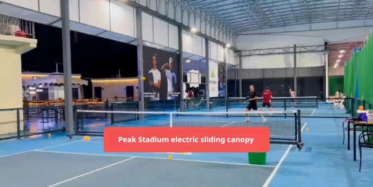 The Rise of Pickleball: Global Trends, Olympic Inclusion, and Court Specifications.